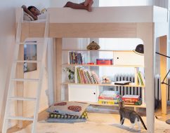 bunk beds adelaide_Perch Double Loft Bed_out of the cot_3
